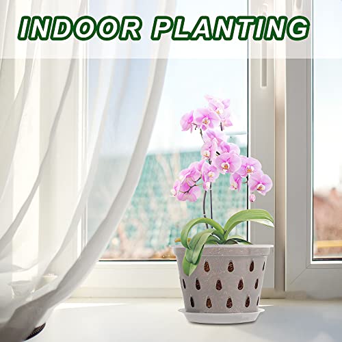 Kecio 4 Pack Orchid Pots With Holes And Saucers, 7 Inch Clear Plastic Orchid Pots For Repotting, Plastic Flower Plant Pot Indoor Outdoor, Breathable Slotted Orchids Planter #TOP5