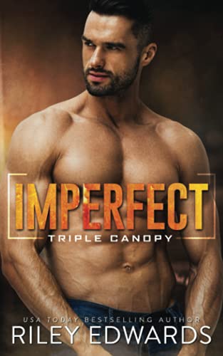 Imperfect (Triple Canopy) view 2