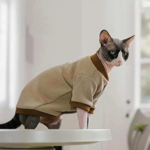 Sweatshirt pour chat Sphynx pull chaud chaton sans poils hiver