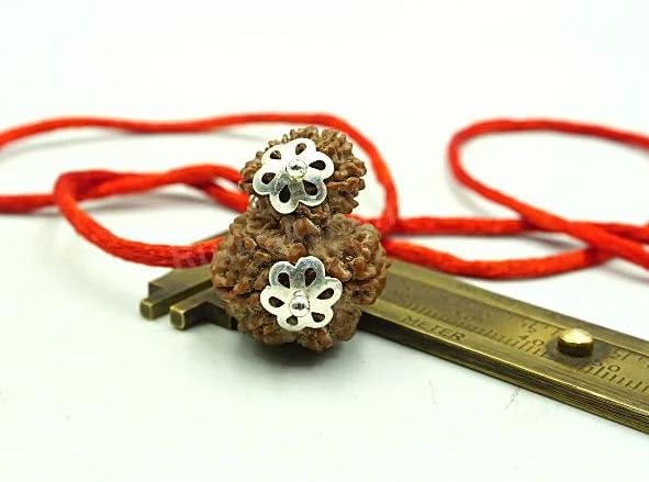 Gauri Ganesh Rudraksha Original Certified गर्भ गौरी रुद्राक्ष भगवान शिव एवं माता पार्वती पूजा हेतु Garbh Gauri Rudraksha Auspicious Neapli Gori Ganpati Ruthratcham Pendant Bead for Unisex-image-46