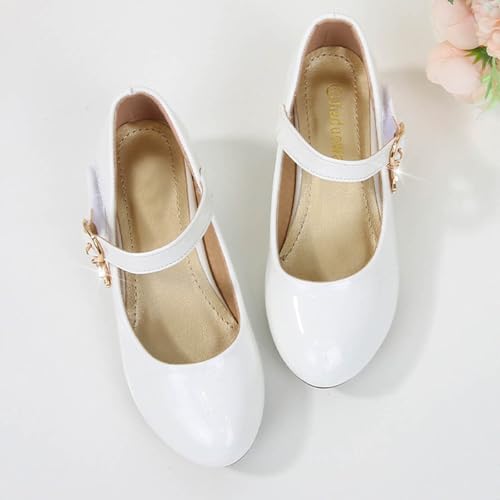 IWIHMIV Little Girls Mary Jane Shoes with Low Heel Comfortable Princess Dress Shoes for Wedding School Party2