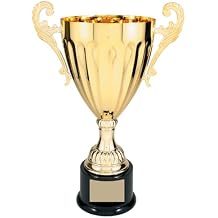 Gold or Silver Real Metal Cup Trophy - Trophy Award, Engraved Corporate Trophy Cup Award 8.75", 9.75", 12", 13.25" or 14.5" Tall - Free Engraved Plate Included