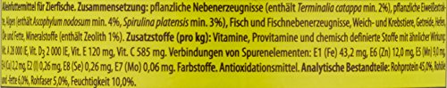 Tropical Green Algae Wafers Welschips, 1 x 250 ml - Afbeelding 4