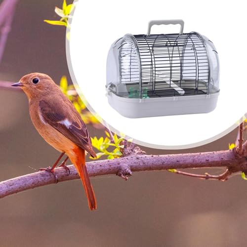 Cage pour oiseaux transparent et démontable accessoire perroquets conures
