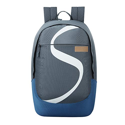 skybags 26 l backpack