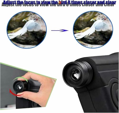 Microphone parabolique oreille bionique pour observer et écouter les oiseaux à distance
