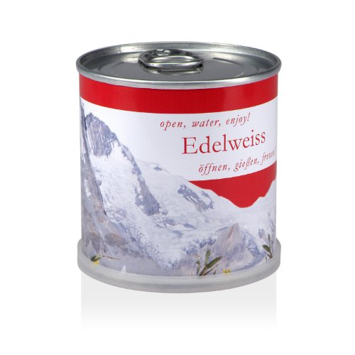 Preisvergleich Produktbild Extragifts Blumen in der Dose - Edelweiss Österreich / Austria