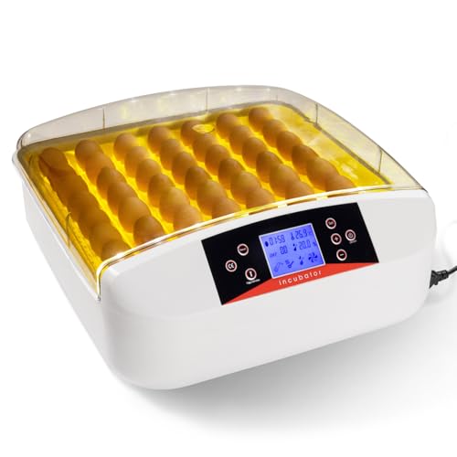 IDMarket - Incubadora Pro Automática 56 Huevos iluminados Incubadora Independiente con LED Mire Huevos