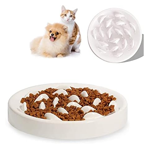SUOXU Slow Feeder Cat Bowl for Healthy Eating Cover