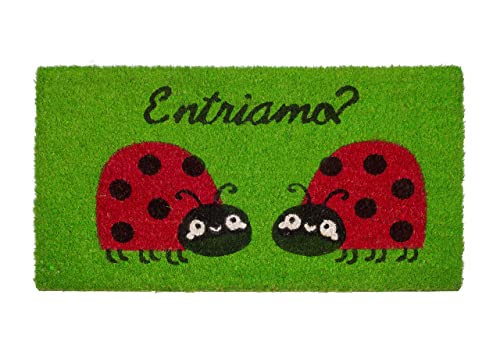 BIANCHERIAWEB Paillasson Entrée maison Extérieur antidérapant en coco Funny Coccinelle Cover