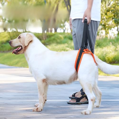 [Cociliye]pn[lX 㑫p s⏕ 3way݌v ʋCbV V QΉ TCY߉\ h~ T|[g ֐ߕی pPA U Ki~ Ԉړ⏕ ^`^ y 􂦂 ėp pi [hڑ\