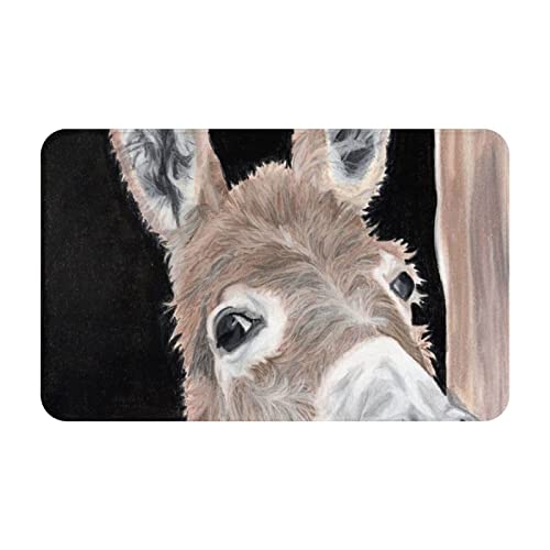 Flanell Willkommen Fußmatte Esel liegend am Fenster rutschfeste saugfähige Fußmatten Teppich...