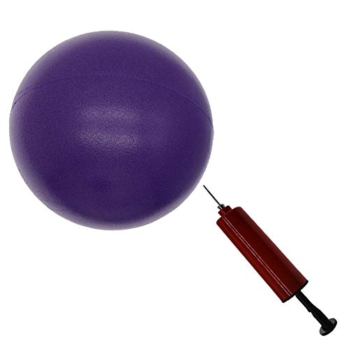 8 inch Exercise Ball, Small Exercise Ball Mini Yoga Ball, Pilates Ball 8 in with Needle Pump, Core Ball Barre Workout Anti Burst 8â€ Ball for Stability Physical Therapy Fitness, Purple