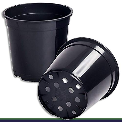 Wohnkult 20 x Anzuchttopf Pflanztopf 4 L schwarz Ø 20 cm x 19 cm Blumentopf Blumenkübel Pflanztöpfe