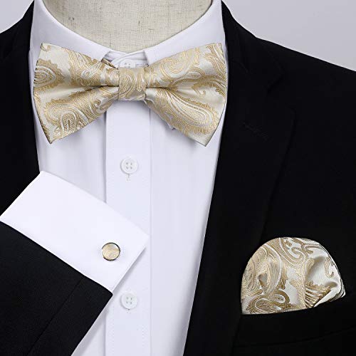 Image of HISDERN Bow Ties for Men Pretied Bow Tie Set Paisley Classic Bowties and Pocket Square Cufflinks Set for Wedding Party