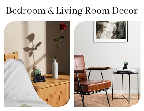 Der Rose Set of 2 Fake Plants Artificial Succulent Plants for Office Desk Accessories Black Bathroom Home Room Aesthetic Decor Indoor - Image 5