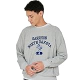 [チャンピオン] 部屋着 長袖 丸首 綿100％ 10oz Relax Fit グラフィックプリント REVERSE WEAVE(R)クルーネックスウェットシャツ リバースウィーブ C3-D001-070-XL-26SS
