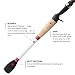 Duckett Fishing Micro Magic Pro Casting Rod, 7'3