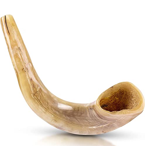 Ram's Horn Shofar Kosher Mini 10