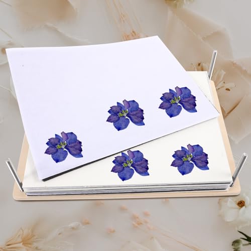 Presse-fleurs professionnel en bois rigide et fixations en métal - 5