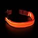 BSeen LED Dog Collar, USB Rechargeable Light Up Safety Pet Collar with 3 Glowing Modes & 3 Reflective Strings, Adjustable Soft Nylon Webbing, Great for Small Medium Large Dogs (Small, Bright Orange)