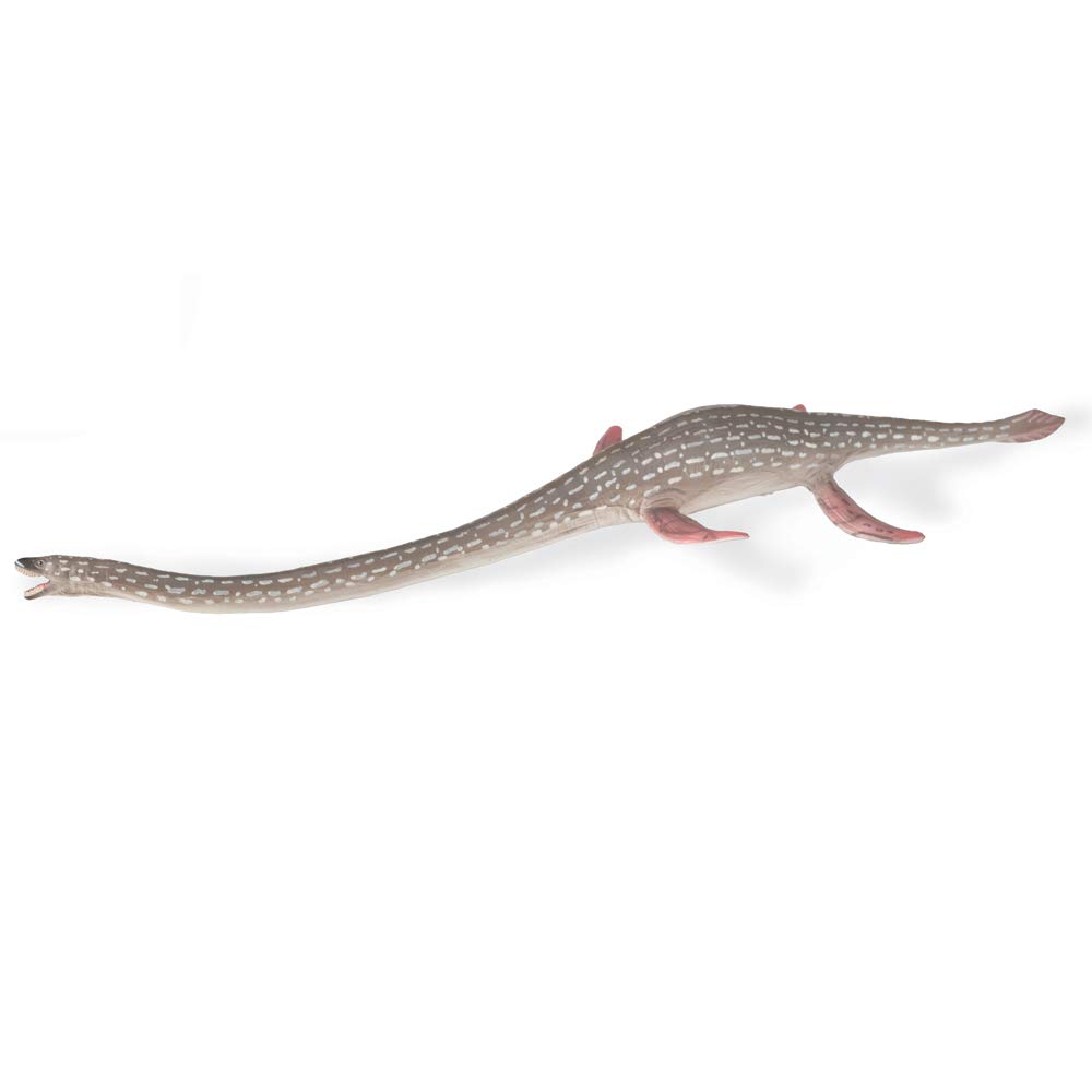 CollectaElasmosaurus