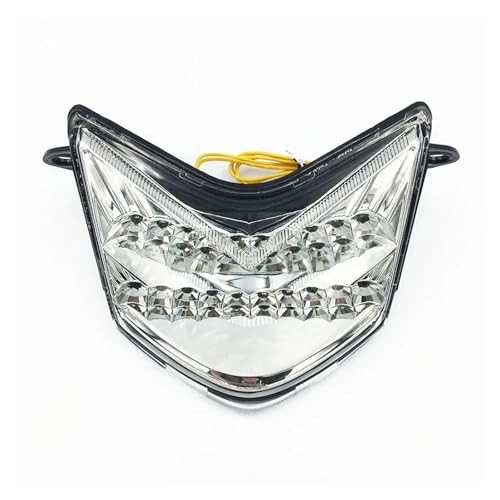 Luz trasera LED integrada para Ninja ZX636 que repara faros rotos