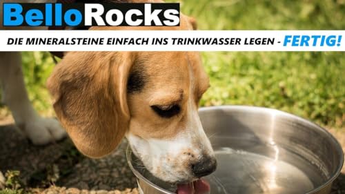 BelloRocks Natur-Steine Mineralsteine gegen Urinflecken auf Rasen, Hunde Katzen Dog Steine Urin Grasverbrennungen Rocks [200 Gramm]