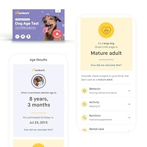 Embark Breed + Health Dog DNA Test & Dog Age Test Bundle – Discover Breed, Ancestry, Relatives, Genetic Health, Traits, and Birthday