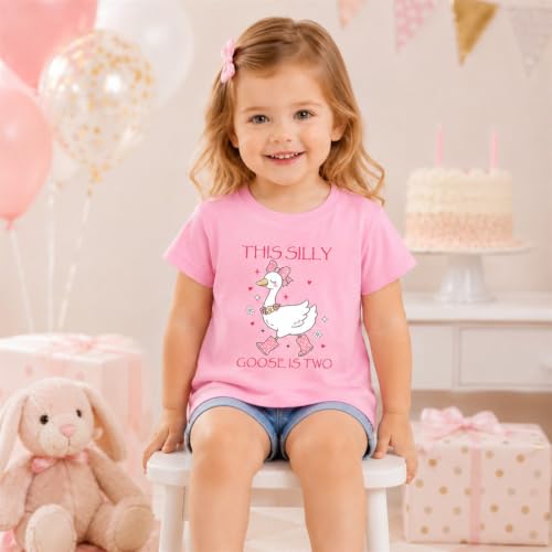 Image of Toddler Girls 2nd Birthday Shirt Outfit for Girls Cute Two Years Old Birthday Gift