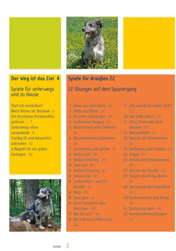 Spiel & Spaß mit Hund: Beschäftigungsideen für zu Hause und unterwegs