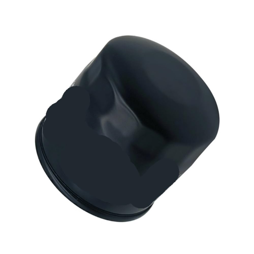 Filtre à huile de haute précision pour moteur CF 188 500 500CC pièce 0180-011300-0B00 - 4