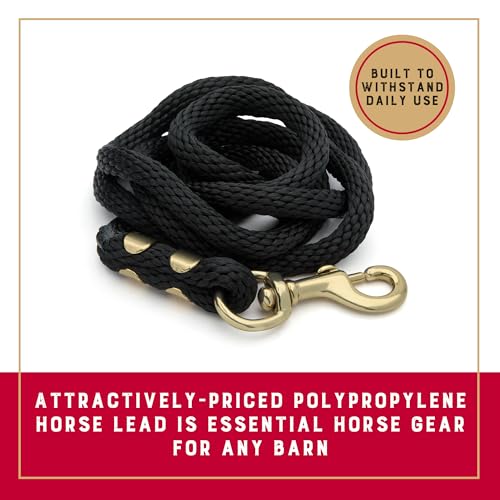 Image of Weaver Equine Performance Lead Rope, Lime Zest, 8' Horse Value Rope with Brass Plated 225 Snap, Soft Comfort Grip, Barn Horse Tack for Daily Use