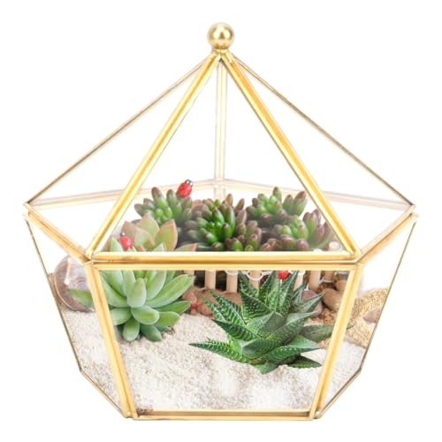 Mini Glass Geometric Terrarium, 6.3inch Air Plant Holder Window Sill Decor Shelf