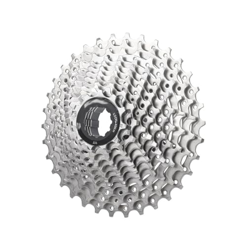 YUTZRIQP Cassette de 12 velocidades 11-32T 11-34T Carretera Piñón de 10 Velocidades para Casete de Bicicleta de Carretera(12S 34T)