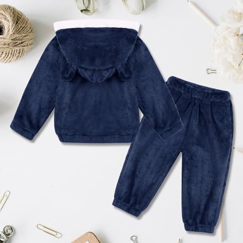 Boys Tracksuit 2 Pcs Fleece Fall Winter Hoodie and Jogger Pants for Baby Toddler Long Sleeve Hooded Sweatshirt and Sweatpants2