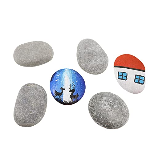 Large decorative stones The 15 best products in comparison Aquaristics