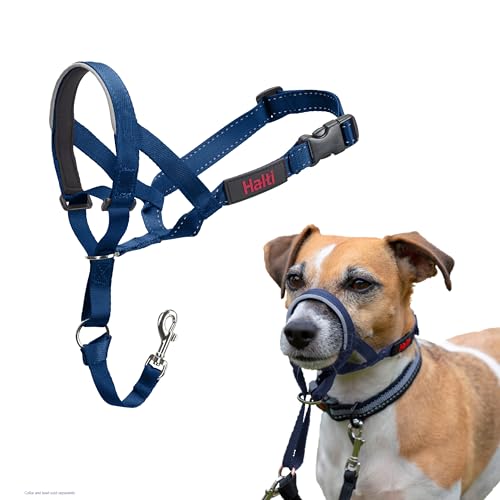 Image of Halti Headcollar for Dogs | Size 1, Cobalt Blue | Stop Your Dog Pulling on the Leash | Adjustable, Reflective, Lightweight | Padded Nose Band | Training Collar for Small Dogs