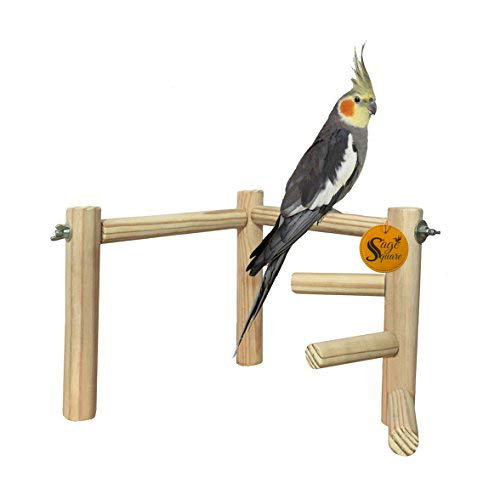 Sage Square 8 Inches Training Gym Cum Exercise Stand with 3 Stations Natural Wood Playful Perch Bird Stand/Toy for Healthy and Active Bird (B079S448Y4) Amazon Price History, Amazon Price Tracker