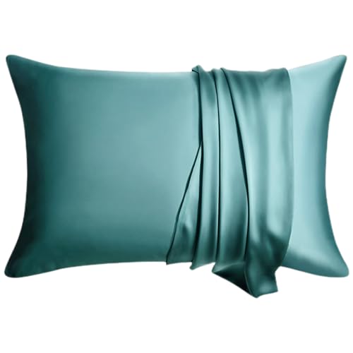 WLOSJ 100% Silk Pillow Cases 2 Pack Standard Size Mulberry