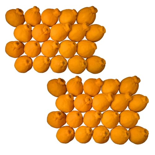 [先行予約] あーちゃん家の不知火 訳あり 10kg[2026年4月上旬〜5月下旬発送予定]しらぬい 柑橘