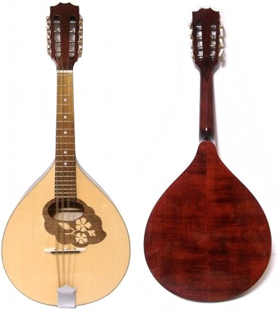 toky様用　【美品】エレキ　マンドリン Amazon | マンドリン楽器 F字型 8弦ギター マンドリン チベット楽器 F