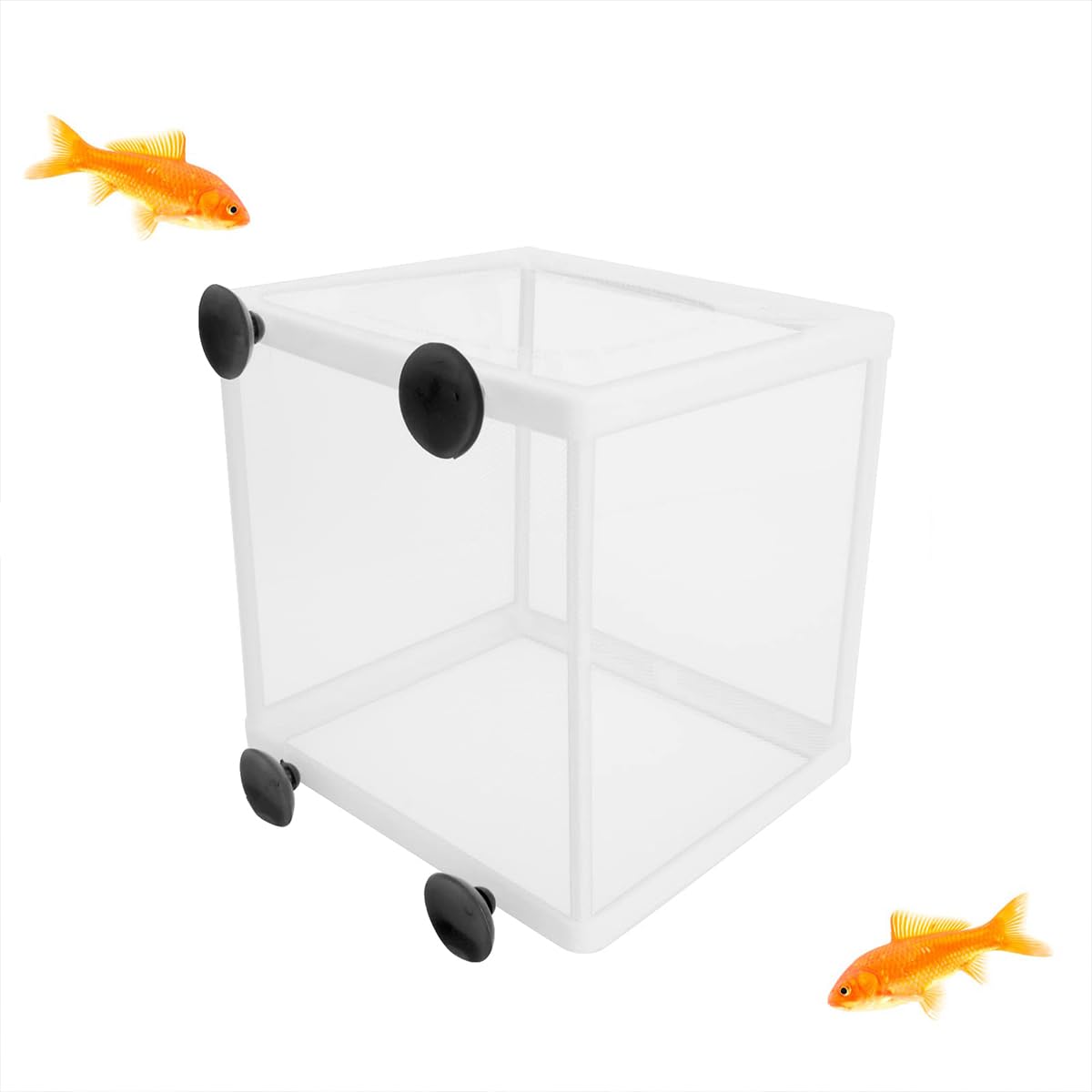 Amazon | 魚 繁殖隔離ボックス 産卵ケース 水槽 吸盤式 メッシュ 稚魚