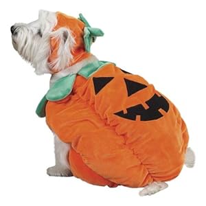 Zack-Zoey-Pumpkin-Pooch-Dog-Costume-X-Large-Orange - Cucciolini Doodles   Zack-Zoey-Pumpkin-Pooch-Dog-Costume-X-Large-Orange