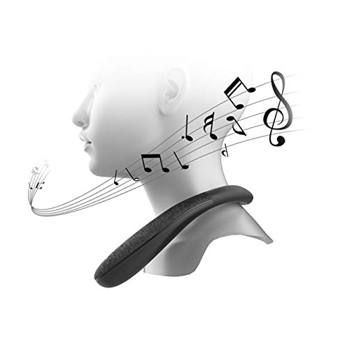 ZEIYUQI Altoparlante Bluetooth Wireless da