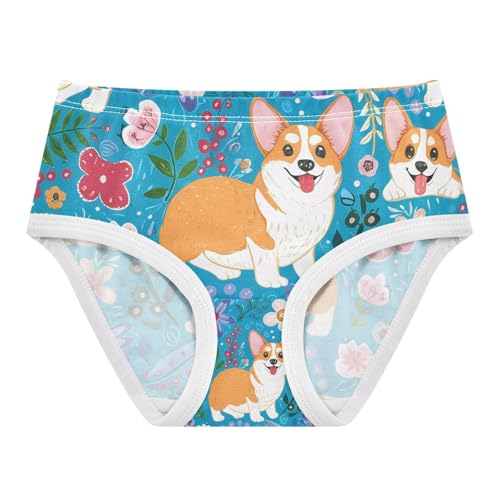 Cute Corgi Dogs Toddler Girls's Underwear 2T 202c1282