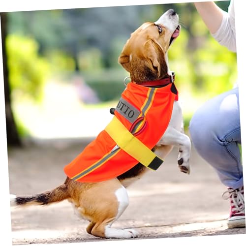 Disfraz para perro tamaño L color naranja miniatura 7
