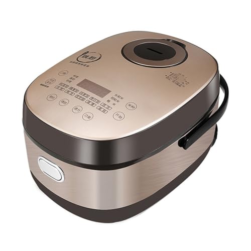 RajoNN 3L Household Rice Cooker Small Multifunctional Intelligent Firewood Clay Pot Hot Rice