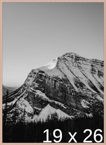 Frame It Easy 19 x 26 Rose Gold Metal Frame (Ashford)