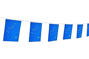 100 Feet Outdoor String Flag Banner Antarctic Flag, Party Decorations For Grand...